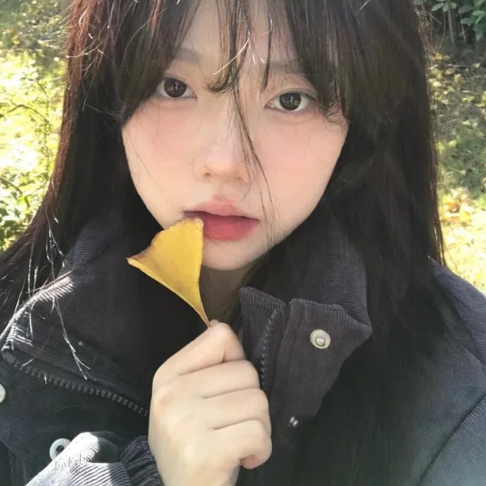 当樱花盛开 封面